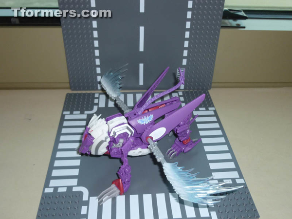 Botcon 2014 Knight 3 Pack Attendee Set  (26 of 82)